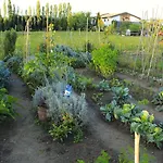 Bio Agriturismo Tirtha ファームステイ