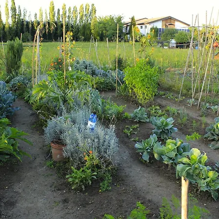 Bio Agriturismo Tirtha Alojamento de Turismo Rural
