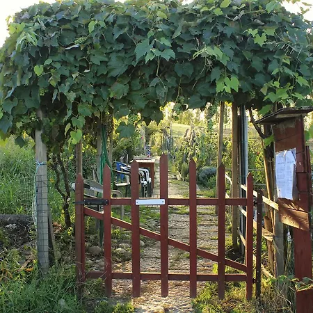 Alojamento de Turismo Rural Bio Agriturismo Tirtha *