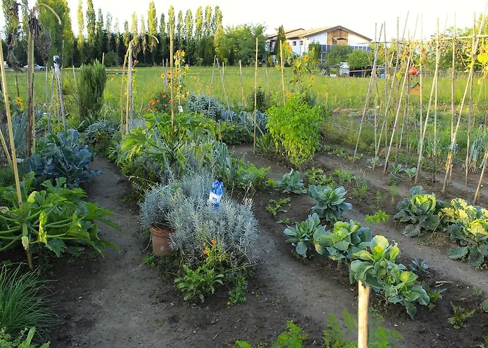 Bio Agriturismo Tirtha Farm stay